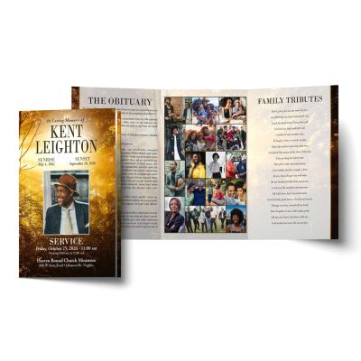 Gilded Woods Trifold